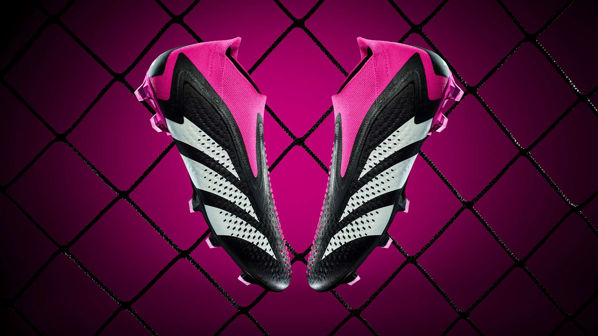 形式来获取 形式来获取